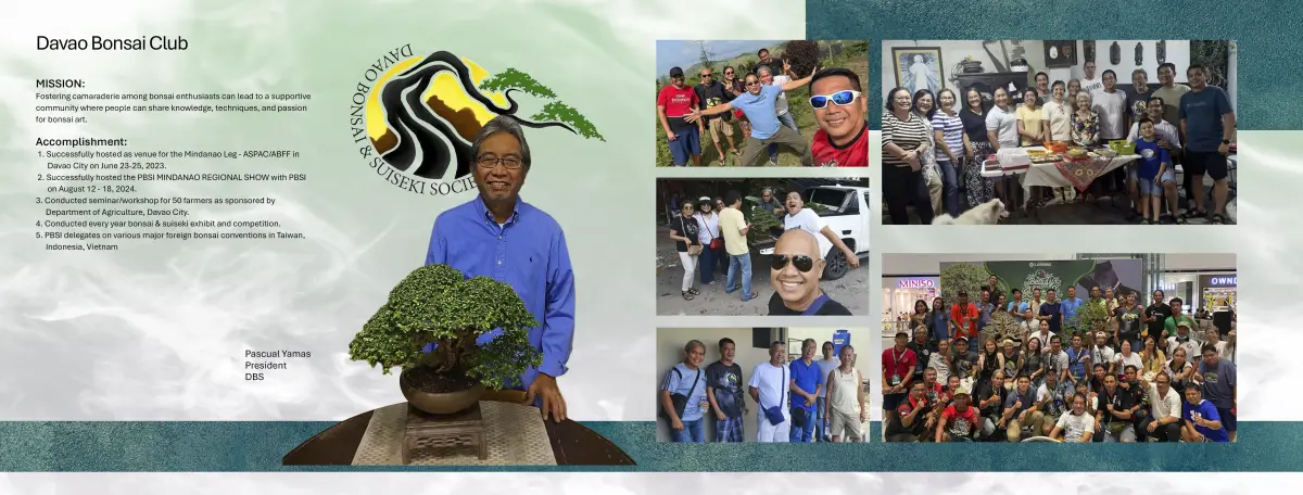 DBS bonsai club